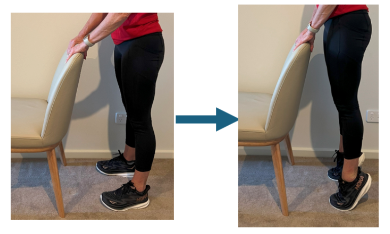 Double Leg Heel Raise