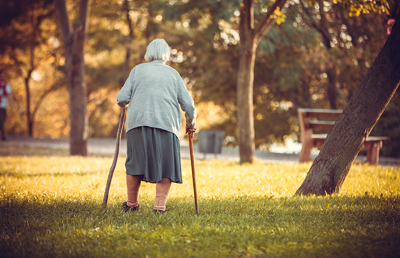 Senior Woman With Canes Walking In Autumn Park Chgx6re