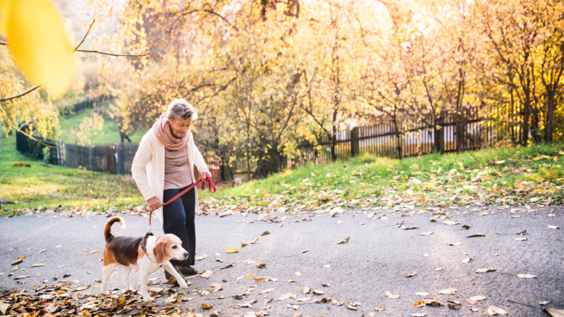 How to stay living healthier at home for longer