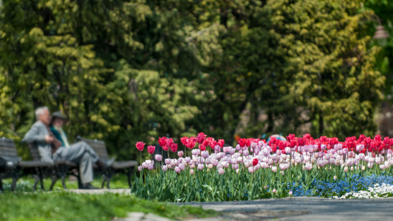 How to help Mum or Dad add some spring to their step!