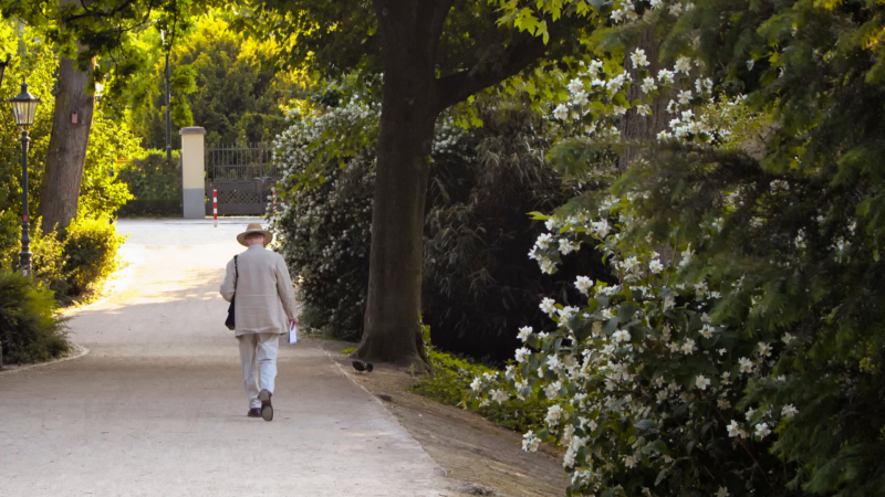 A practical guide to safe and enjoyable walking for Aussie seniors