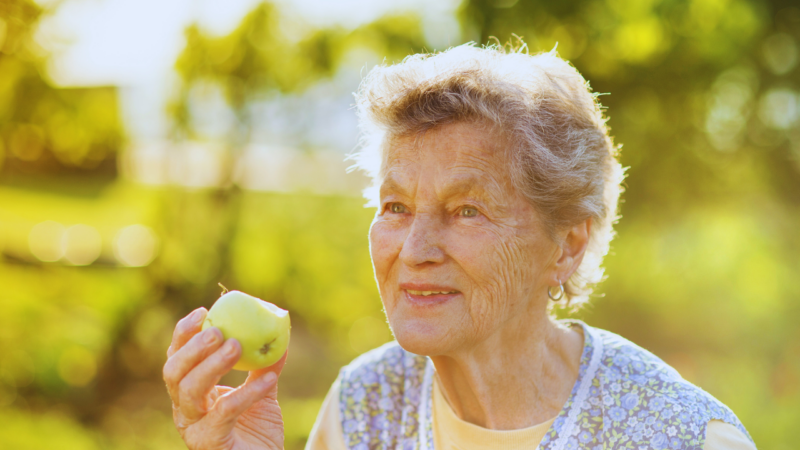 How physios and occupational therapists work together to help seniors stay mobile, safe and happy